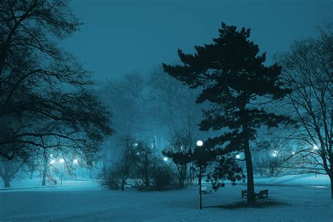 Atmosphere Branch Cold Dark Dawn Fog Foggy Frost Frozen Ice Lamp