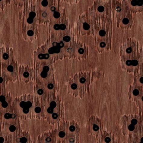 Bullet Holes In Wood Texture Variation 7