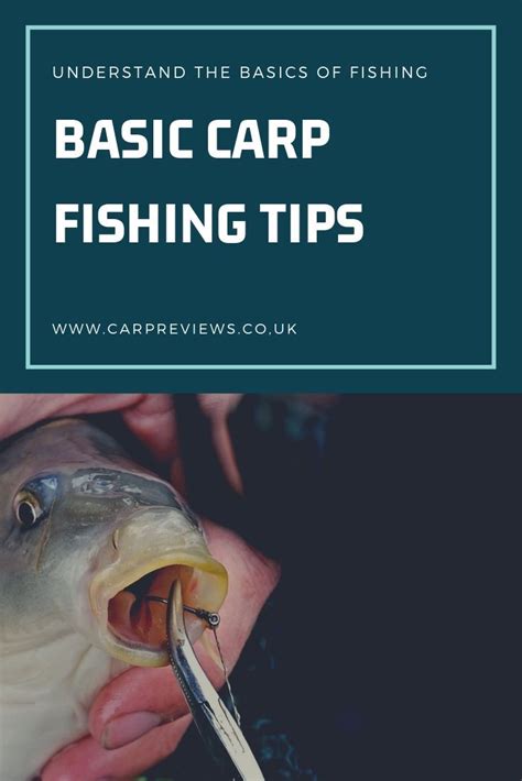 Basic Carp Fishing tips | Carp fishing tips, Fishing tips, Carp fishing