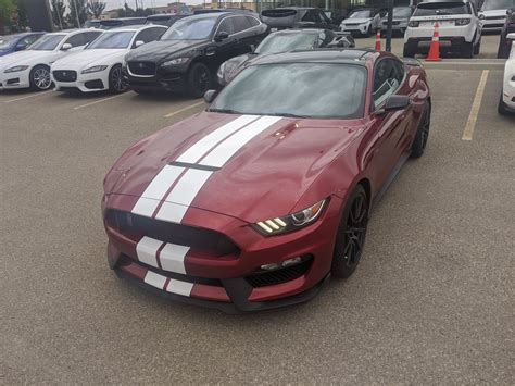 Ruby Red Gt350 2015 S550 Mustang Forum Gt Ecoboost Gt350 Gt500