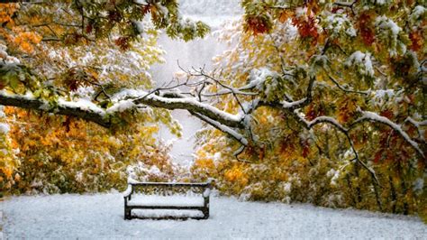 Autumns Snow With Chilling Breeze Hearts Musings