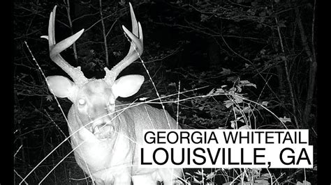 Georgia Hunting 2020 Two Bucks By 7am Louisville Ga Youtube
