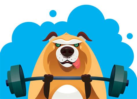 Animal Weight Lifting Illustrations Royalty Free Vector Graphics