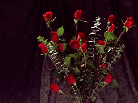 Red Rose Lot Roses Flowers Bouquet Elegant Beauty Hd Wallpaper