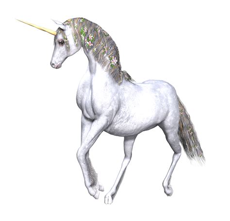 Full White Unicorn Flowers In Manes Transparent Png Stickpng