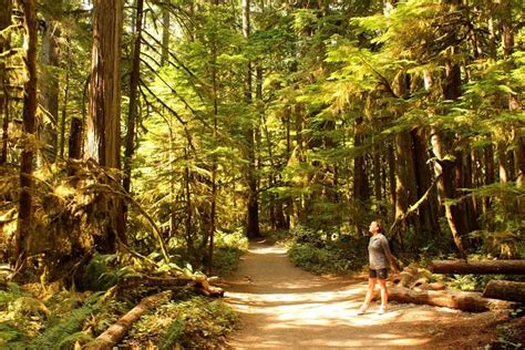Olympic National Park Wilderness Information Center Ph