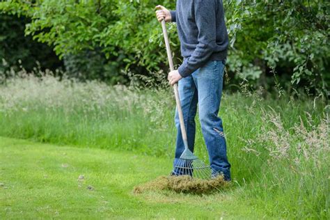 How To Improve Your Lawn Bbc Gardeners World Magazine