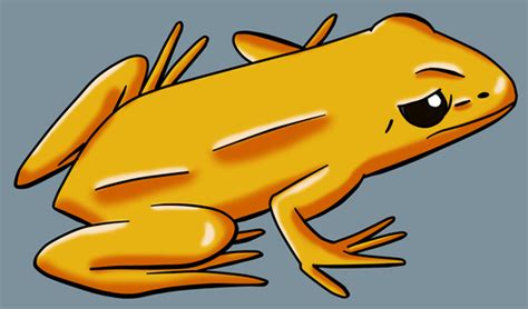 Golden Poison Frog By Maleiva On Deviantart