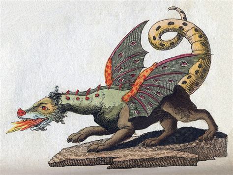 Dragon | Mythology Wiki | FANDOM powered by Wikia