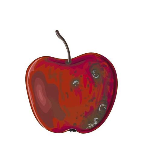 Rotten Apple Illustrations Royalty Free Vector Graphics And Clip Art