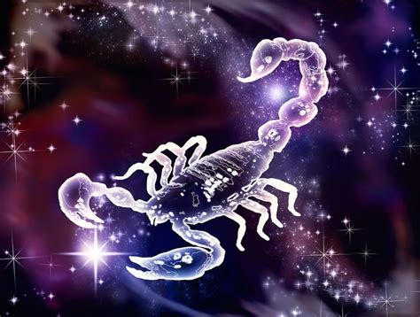 October Birth Scorpio Sign And Symbol Sun In Scorpio Scorpio Art