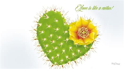 Cactus Wallpapers 61 Background Pictures