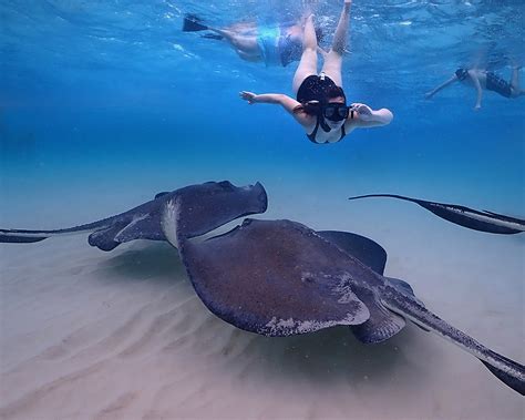 Etravel Wire The Cayman Islands Most Innovative Tours 10024053