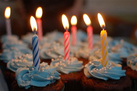 Free Images Love Food Flame Cupcake Dessert Celebrate Birthday