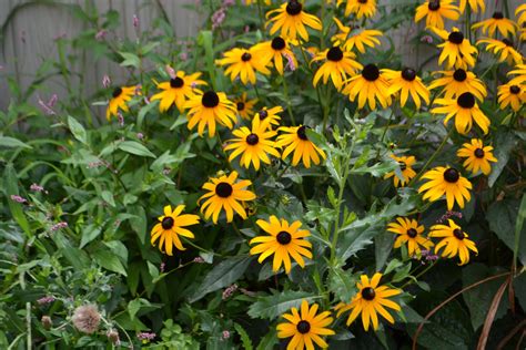 Admissions – Blessed Sacrament School