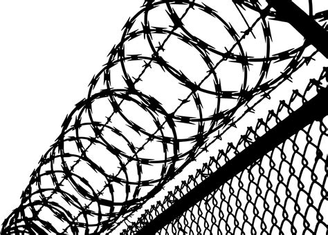 Barbwire Png Transparent Layers