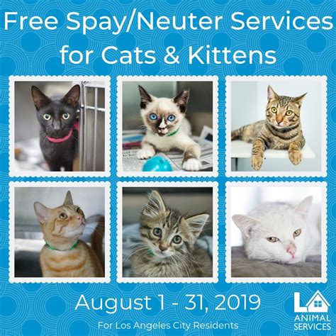 A free spay and neuter program is the only key solution to reduce the number of unwanted animals needlessly killed and born into a society that does q: CALIFORNIA - Los Angeles *Free Cat Spay/Neuter ...