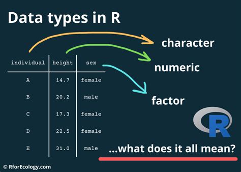 R Data Types 101 Or What Kind Of Data Do I Have R For Ecology