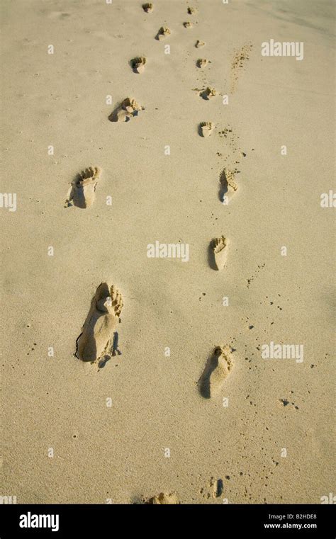 Footprints Of Adult And Child In Sand Stock Photo Alamy