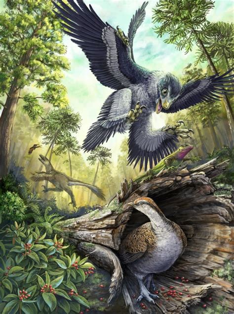 Why Birds Were The Only Dinosaurs That Survived Mass Extinction Cbc News
