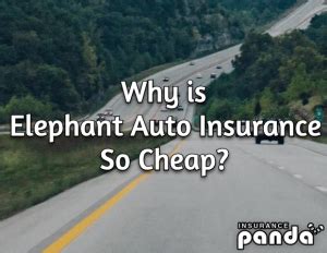 Why Is Elephant Auto Insurance So Cheap? [Elephant Insurance Review]