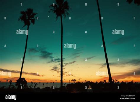 Southern California Ocean Sunset Silhouette With Palm Trees Stock Photo