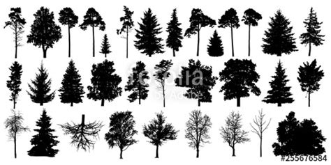 Forest Trees Silhouette Vector At Collection Of