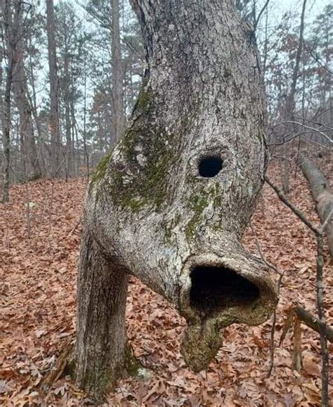20 Photos That Prove Nature Always Has A New Page Of Wonders Waiting
