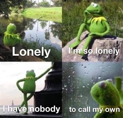 Mr Lonely Rmemes