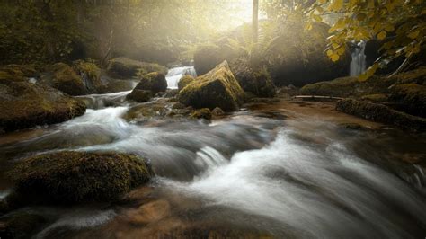 Beautiful Waterfall Stream Stones Rocks Green Trees Leaves Sunrays
