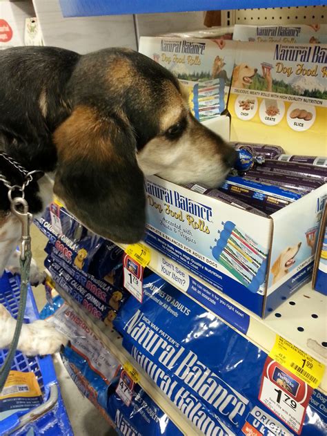Buy any bag of dog food at petsmart and we donate a meal to shelter pets! Spoiling Your Dog with @NaturalBalance Limited Ingredient ...