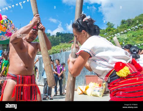 People From Ifugao Minority In A Rice Pounding Competion During Imbayah