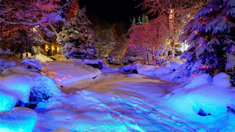 Christmas Colorful Winter Snow Nature Nights Magic Lights Full Hd