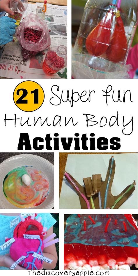This webquest is designed for 5th grade students. 21 Super Fun Human Body Activities and Experiments for ...