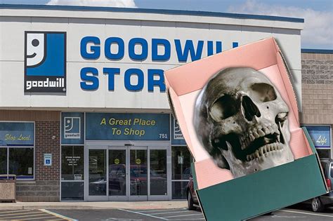 Police Investigating Possible Human Skull In Goodwill Donation