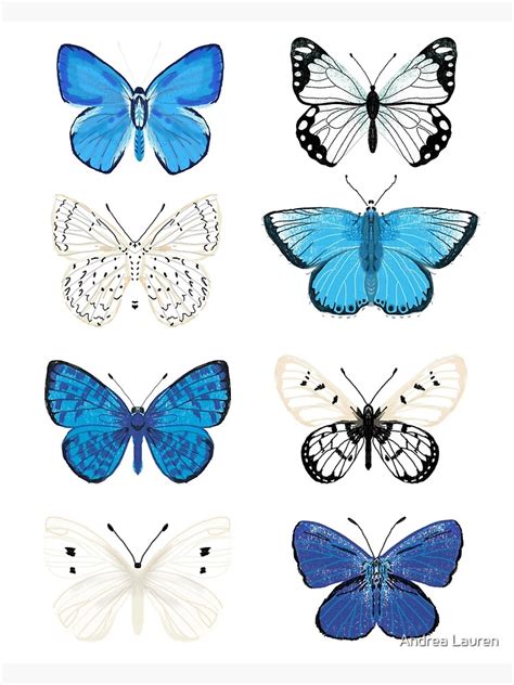 Blue And White Butterflies Butterfly Sticker Pack Butterfly Sticker