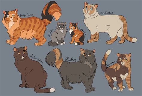 Warrior Cats First Book Characters