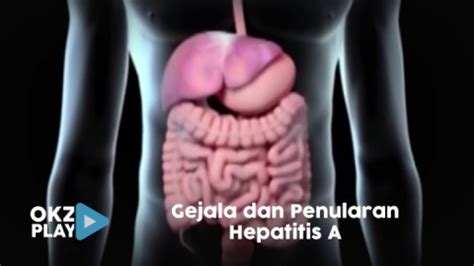 Kenali Gejala Dan Pencegahan Hepatitis A Okezone Video