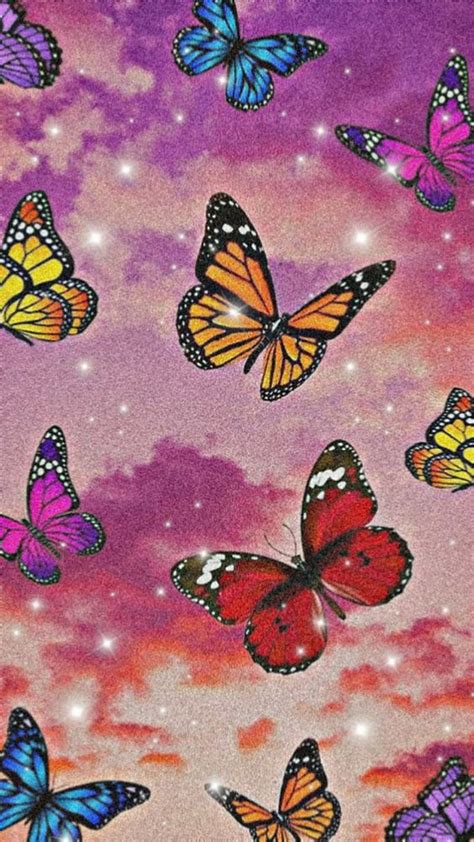 1920x1080px 1080p Free Download Aesthetic Wall Butterflies