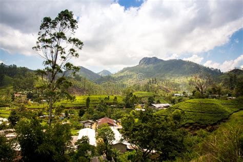 Rural Mountain Villages Amongst Tea Plantations In The Highlands Stock