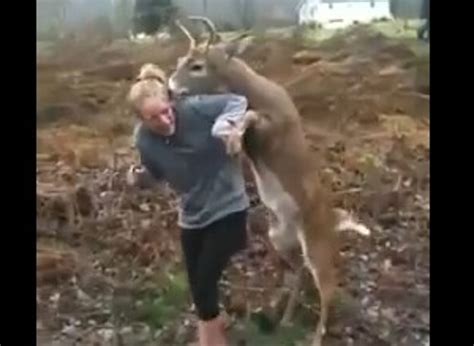 Deer Tries To Mate With Girl Video