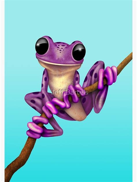 Cute Purple Tree Frog On A Branch Art Print For Sale By Jeff Bartels