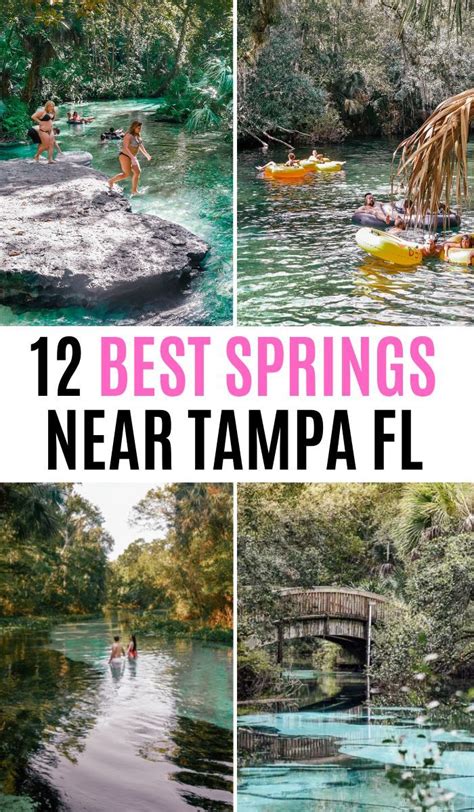 12 Best Natural Springs Near Tampa You Gotta See Artofit