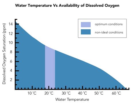 How Does Temperature Affect Dissolved Oxygen Atlas Scientific
