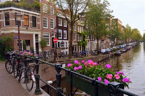 See more ideas about holland, holland flowers, tulip fields. Amsterdam Netherlands Holland - Flowers Pink - Frederico ...