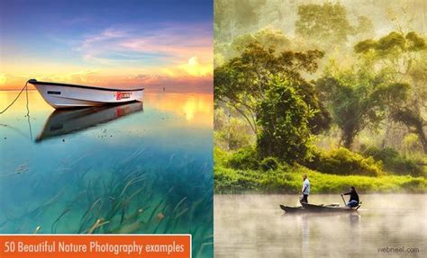50 Beautiful Nature Photography Examples From Famous Photographers