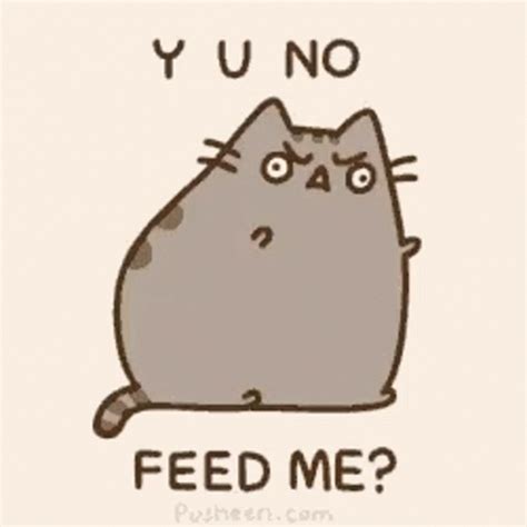 Pusheen No Feed Me Hot Sex Picture