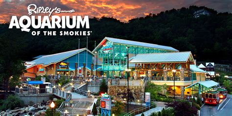 Ripleys Aquarium Of The Smokies Voted “best Aquarium In North America