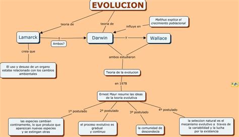 Evolucion Teoría De Darwin Teoria Evolutiva Evolucion