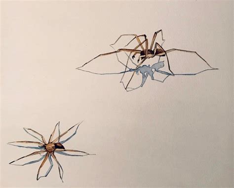Spiders Watercolor 8 X 12 Art Рисунки Искусство Акварель